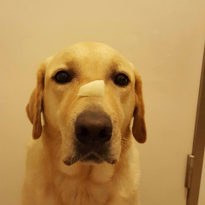 81280998 4cb5 4881 81e7 0f686415d455