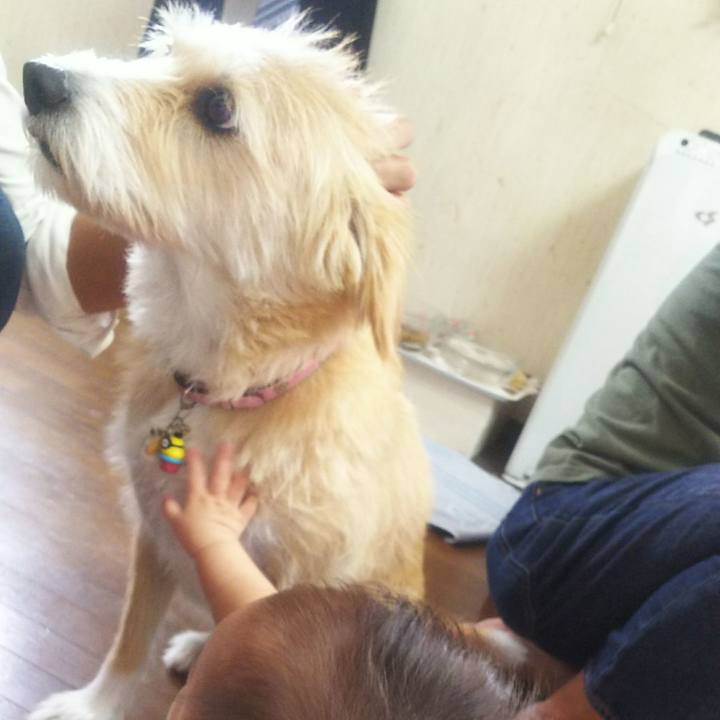 812813fd daee 47e7 9bcf bd32a3289d94