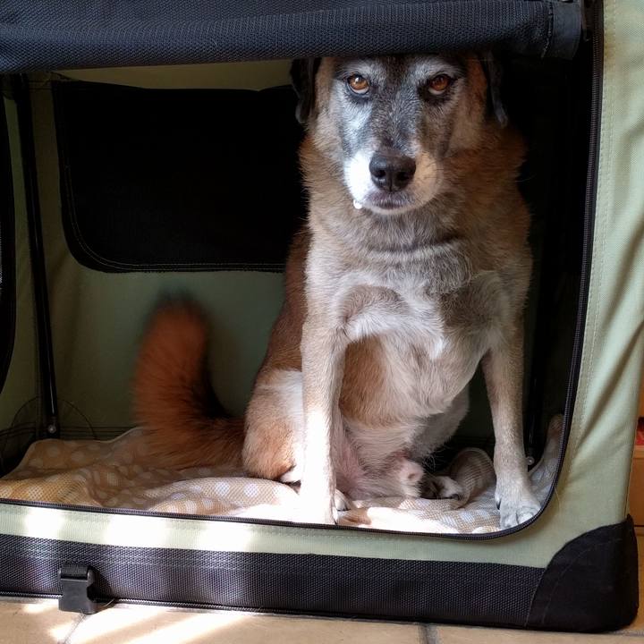 81282367 eea6 429c bfab a16434b2c256