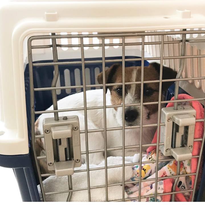 812830ee 42ec 4131 8d54 a099c31d1a5d