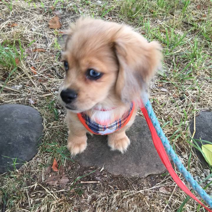 812846ad 8b6c 471e 886e ae8ff014767e