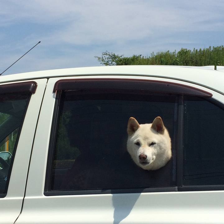 8128b14f 9817 4f2c 9b4b f5c4a521cb53