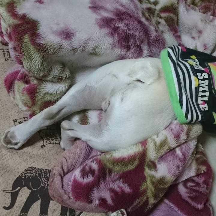 8128bad8 0e02 45d3 bf56 bf38b38c1f89