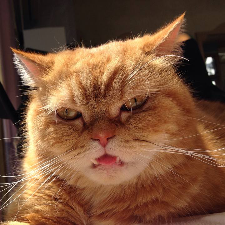 8128e3f2 a64e 41ac b1fe 04310a73197e