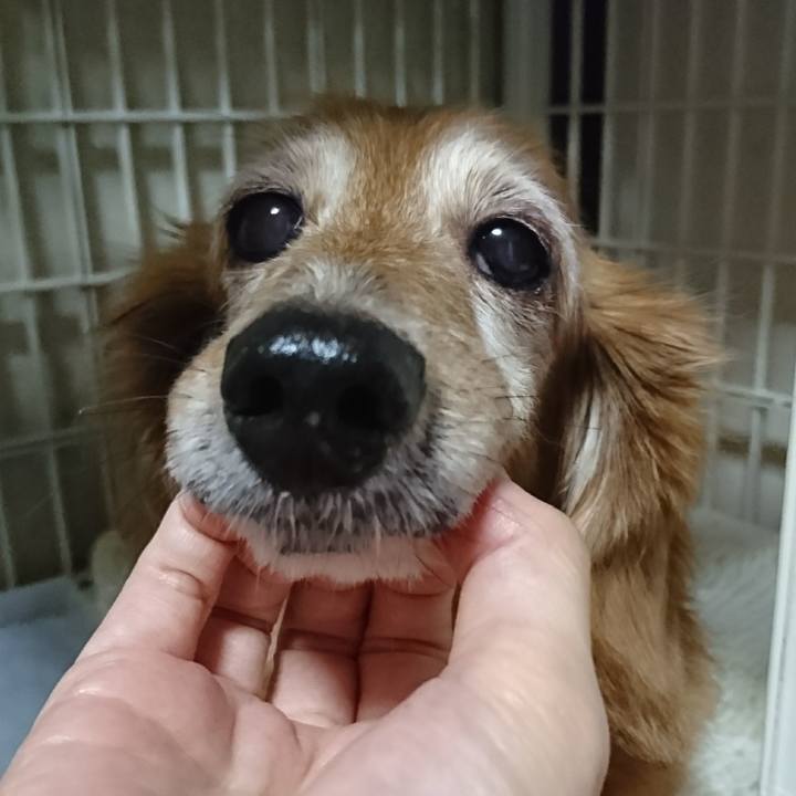 81299d01 588d 4fa5 9de5 14270d7121dd