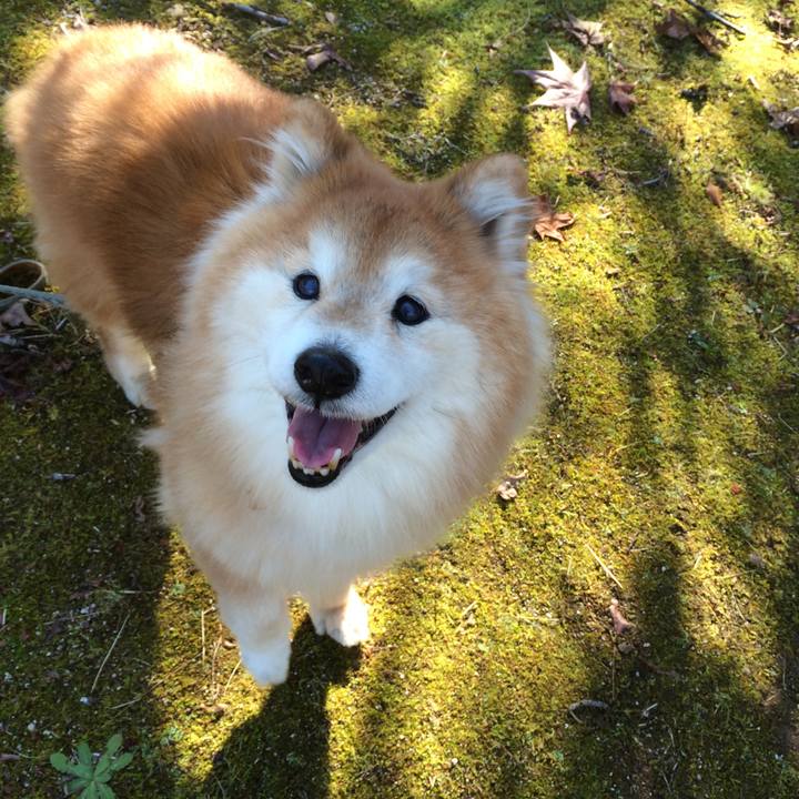 812a757e 90cd 4586 bc44 7305b8a3f54f