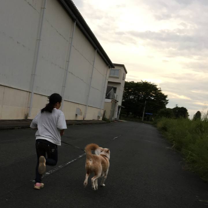 812a7e1e bc0f 4da1 a159 7cec10796a13