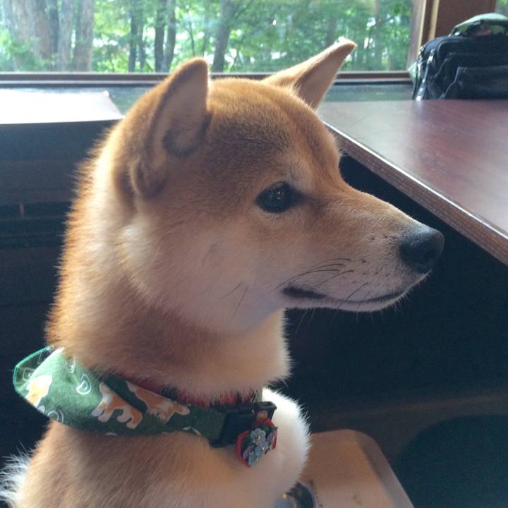 812a9ac9 d588 49b4 adc0 d1181893d5c7