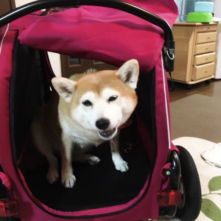 812aa8a6 4ce7 4deb 8e3c 246736bb7203