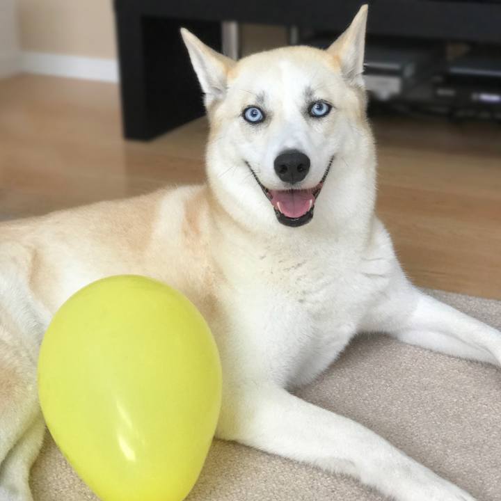 812b2c28 fb98 430a a103 4fcc1ae0cefe