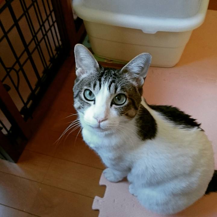 812b8958 3082 4719 a2a4 46c59ac072bc