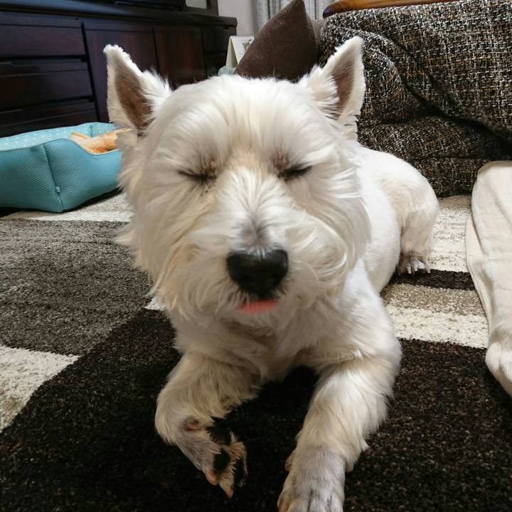 812bae5b e766 4792 bcee e438c540cef0