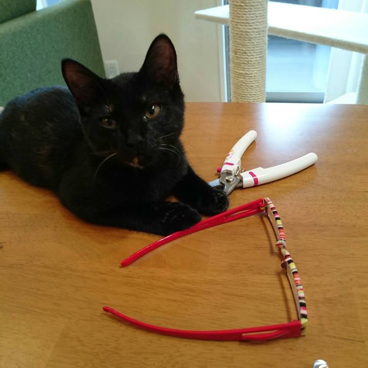 812bd2ed d7df 4b14 ae60 ba63231af805