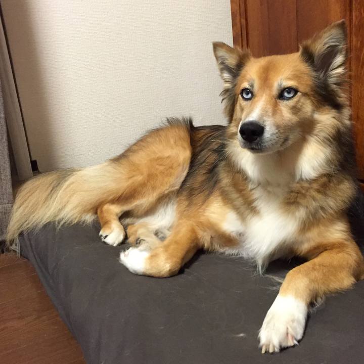 812c16b8 e04a 40b5 a3aa 26b8a9a6c271