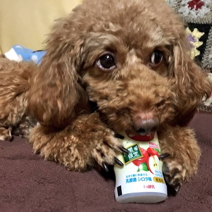 812c66c9 53a3 4755 8827 5ad67181d2eb