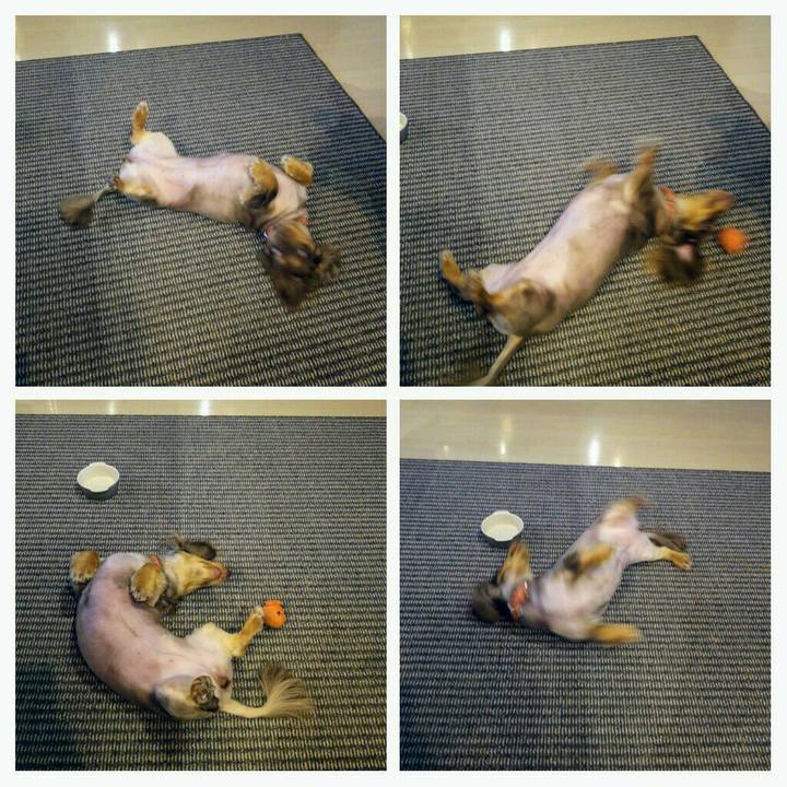 812d45f2 6d67 43f7 a7a3 68e521a7f994