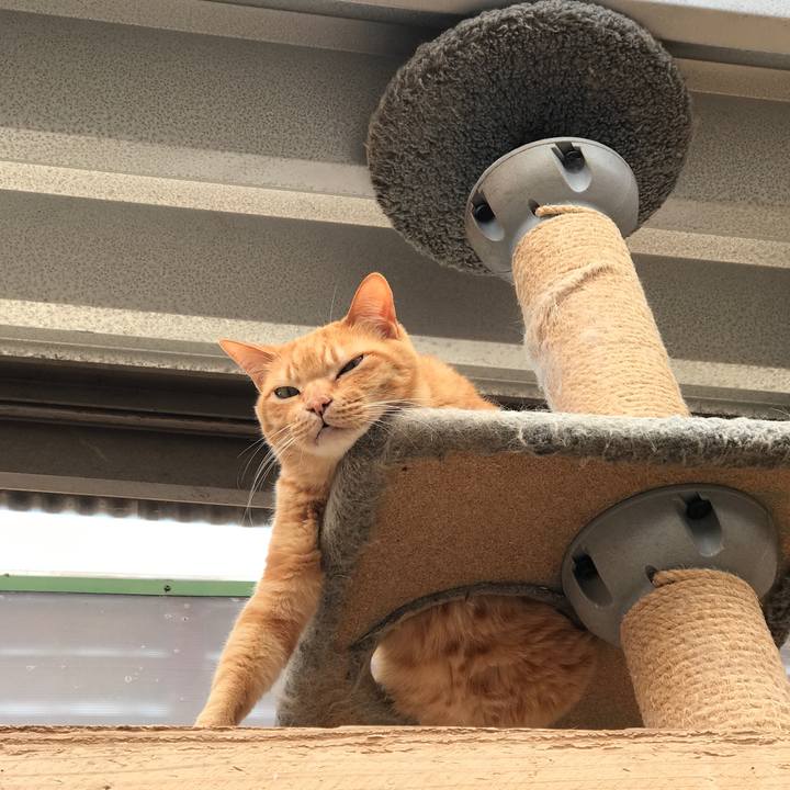 812da0db 6abb 4db7 acb5 963055da95f3