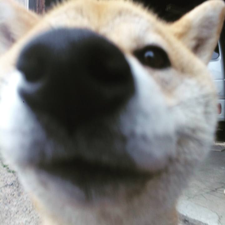 812da49a 7fcf 40ec 934f d892777bdf32