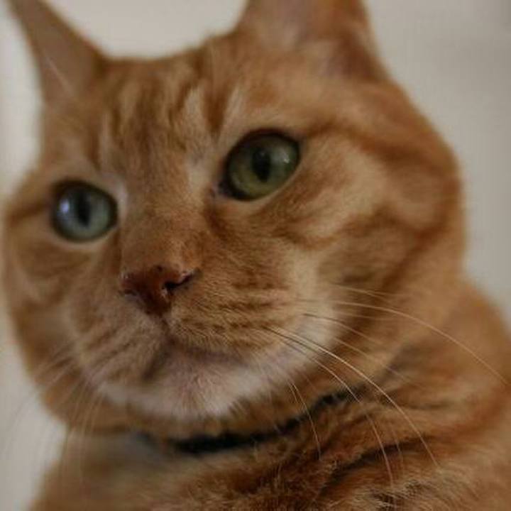 812ddd29 dade 44cc a15b 84699f2b7bde