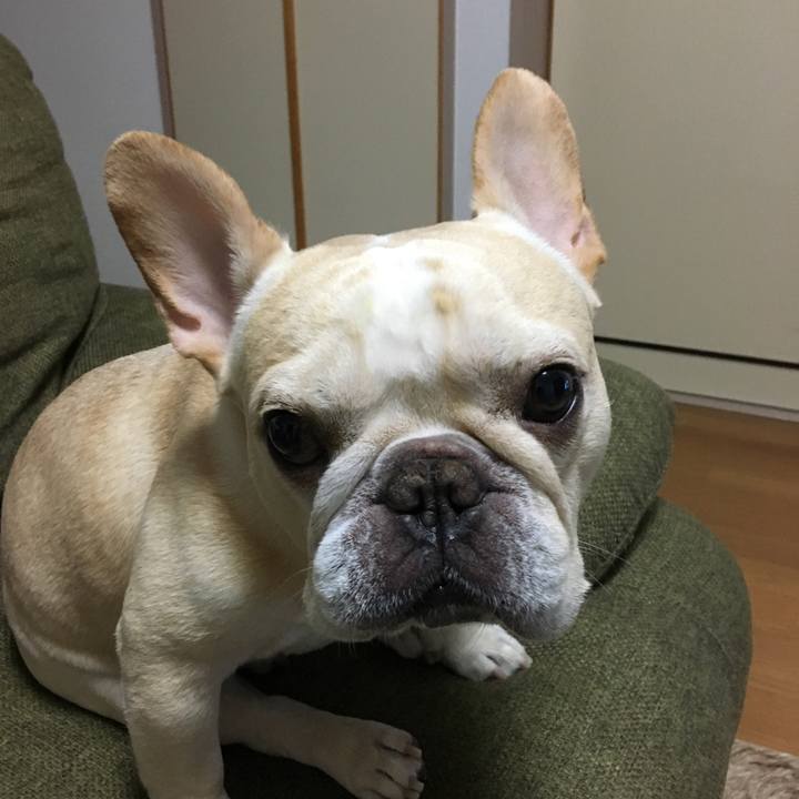 812df821 9349 4b0a 9408 4eaf28ad6847