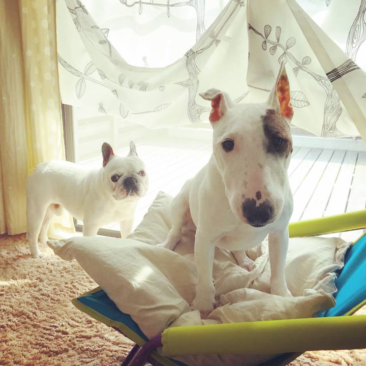 812dfe78 e180 4c72 8f65 d4aaf11e96e6