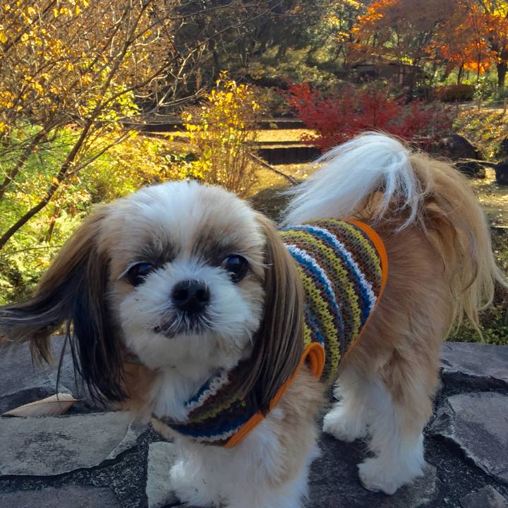 812ed12b 0722 47e1 89ca 2f8c06f10b77