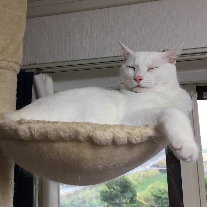 812f6b70 25d1 457e bf5d 847874216792