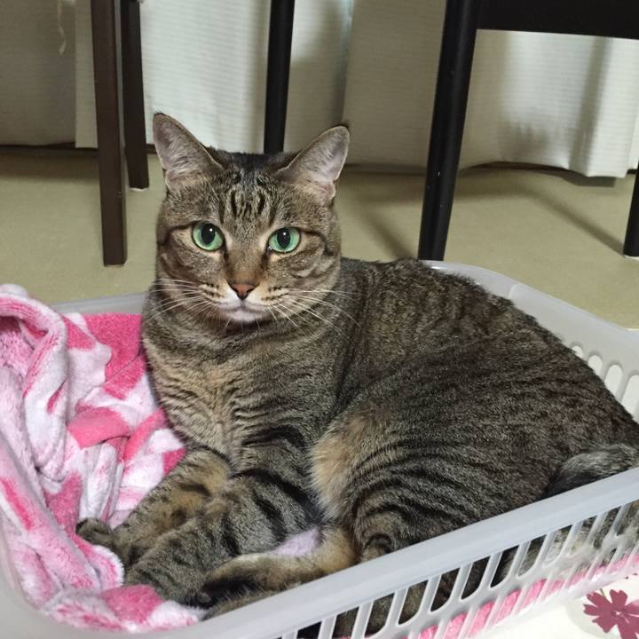 812f923a 31a9 4a98 9eec e906227964bd