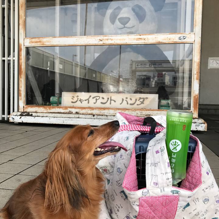 812ffa8c 00c5 4ce5 a826 339a479a5e96