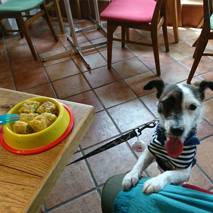 81304a2e 34c6 46d7 934f d55b7d39bf0c