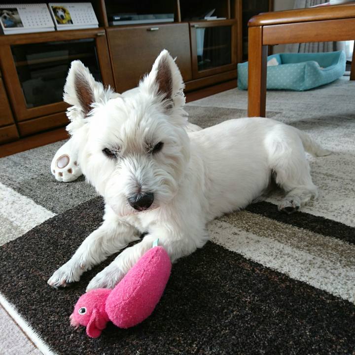 8130a48e 3518 467c 87ac 1f0b9d119bda