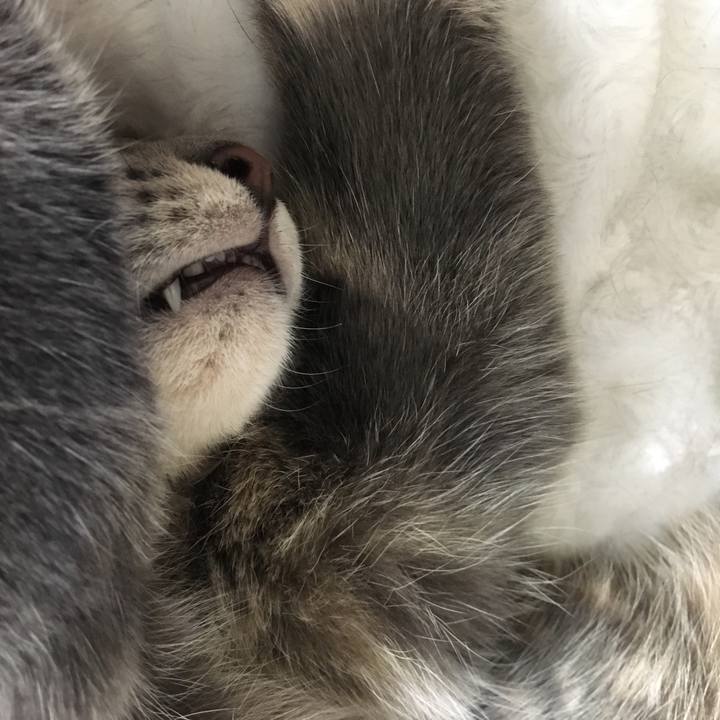 8130a836 6acb 4901 9a63 0eab0cd7ffb3