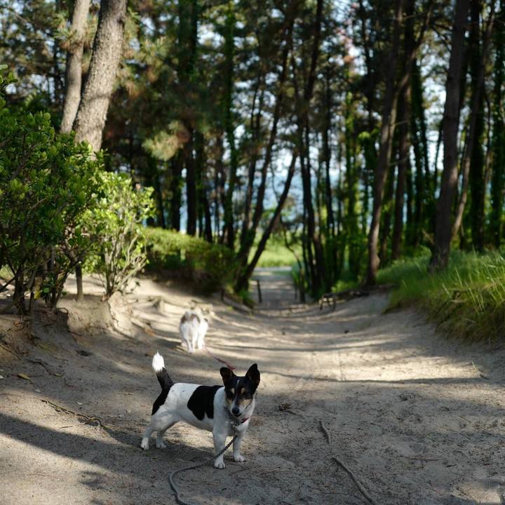 813116ed c8d5 4283 b60b cc1923719710