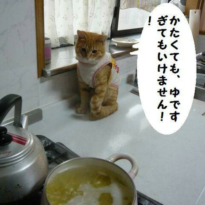 81318c63 0782 4ddd be3c 26c734ac2c9e