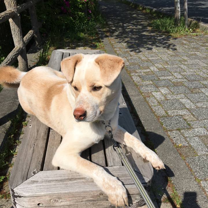 81326811 2201 4e5b 9c2e 9cb0e2998a44