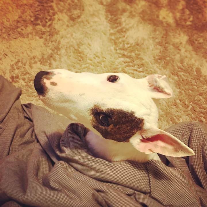 8133e0f4 bdc2 4141 9904 484c0908067f