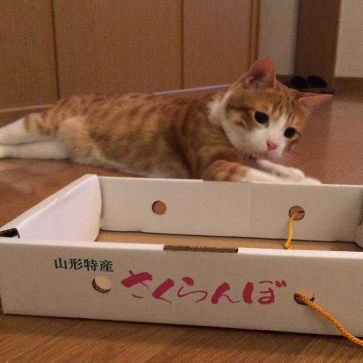 8133f67c 17a9 476f b680 59fcdd3f983d