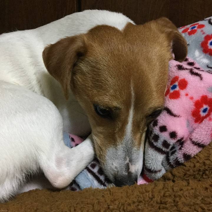 8134346d 6de5 49b1 8fb2 8482040bcbda