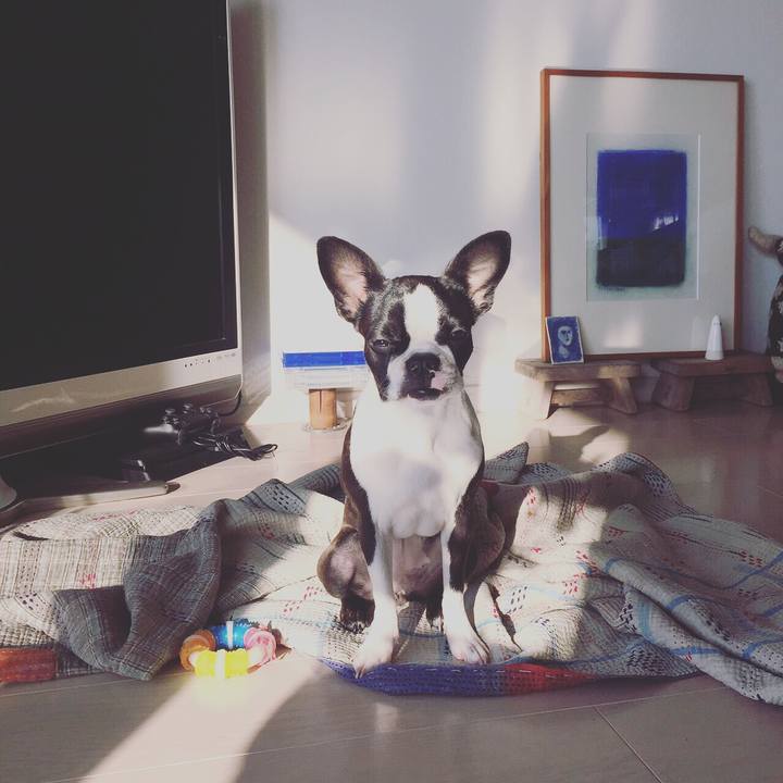 813444f9 b76c 4a22 b175 508291d9100e