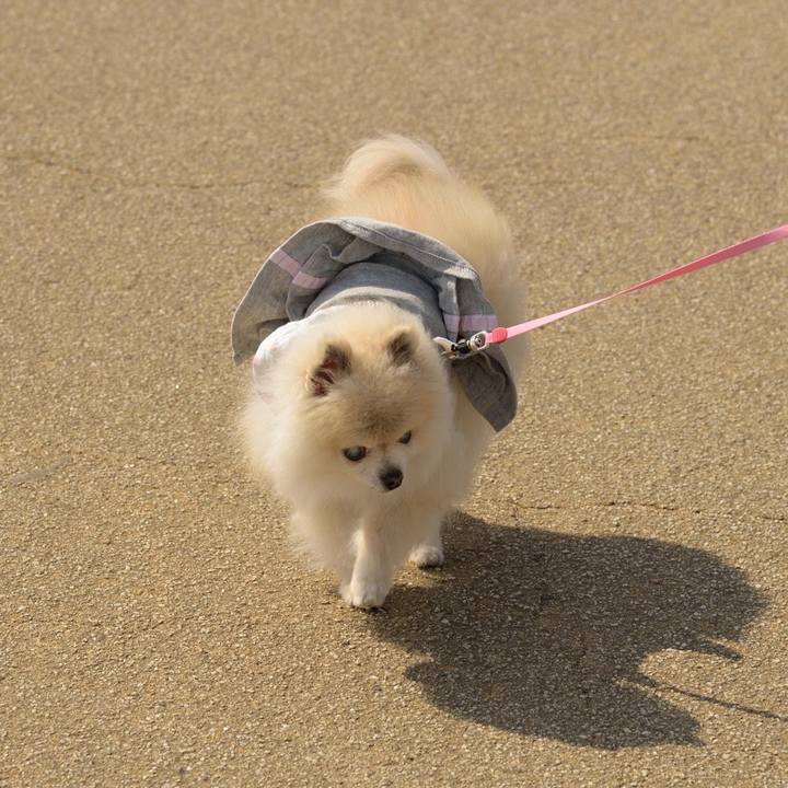 81349c88 4820 48aa a0d4 9b874fd1f2b2