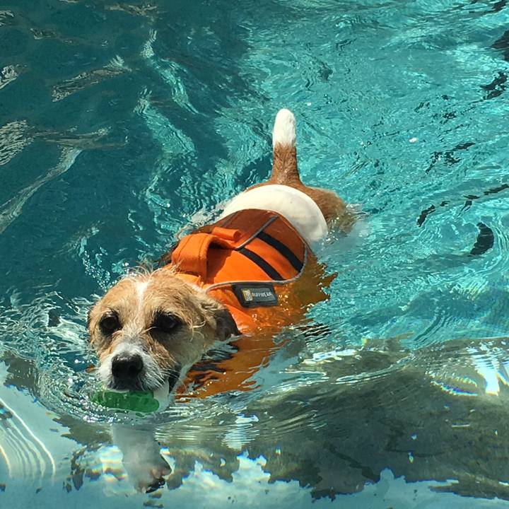 8135edd0 805d 4cd8 8fc4 a8c1b64a888a