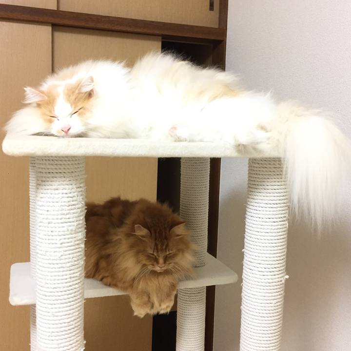 81360340 91b0 47b8 b71d eb00c9158582