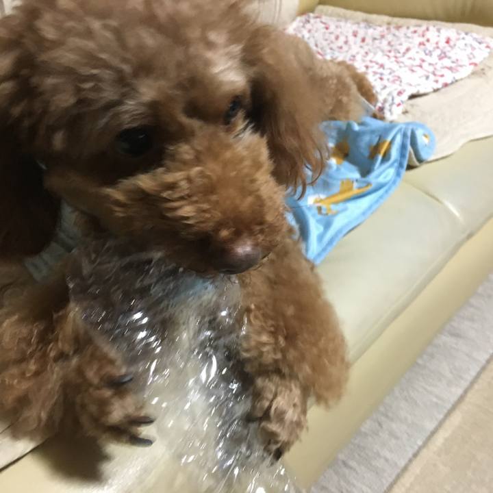 8137946b 45c2 469f 8372 f7a991989981