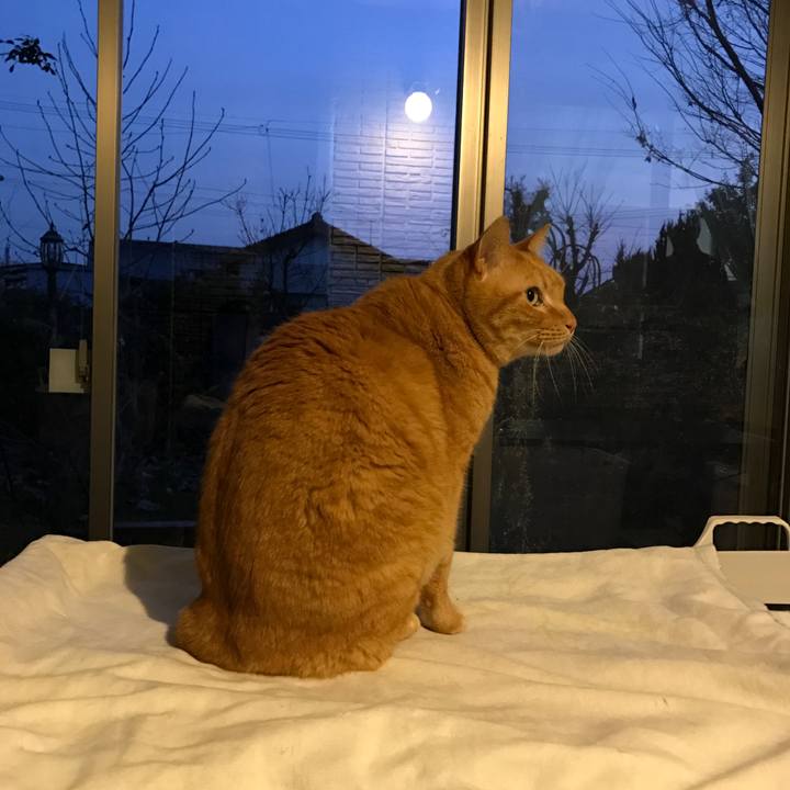 81390bcb 8de8 4a3e 9eb4 1cdea9984a35