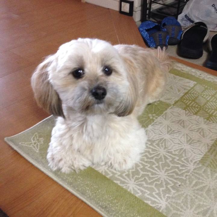 81392193 a4fe 40c1 a8e7 5935db6aec4d