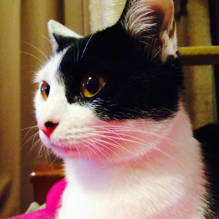 8139a244 dd14 4394 a243 01ea53f3f142