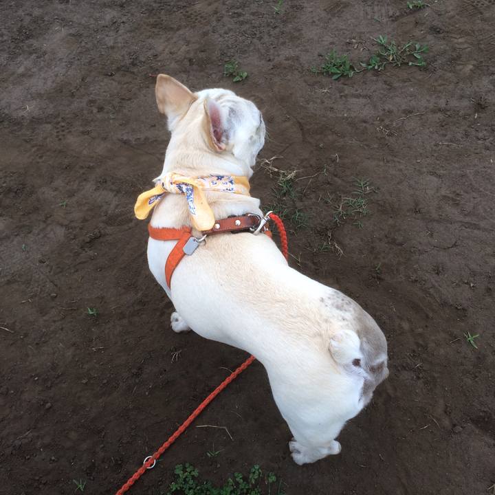 8139e80a 2db1 47e9 82e2 f4c0168fba34