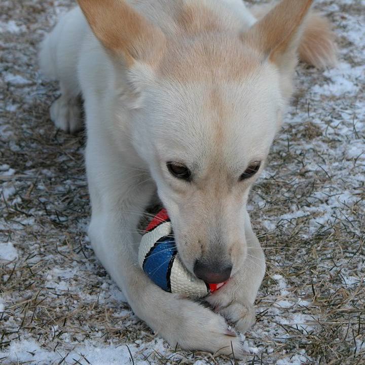 813a1068 b2c2 42d4 88a1 b9ad94430405