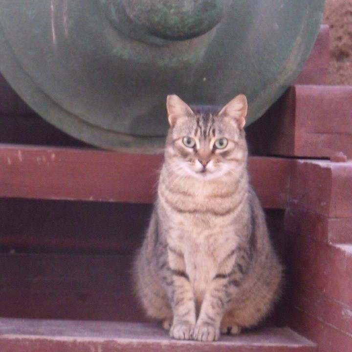 813a1bd6 d416 424d a507 697ce4c4161f