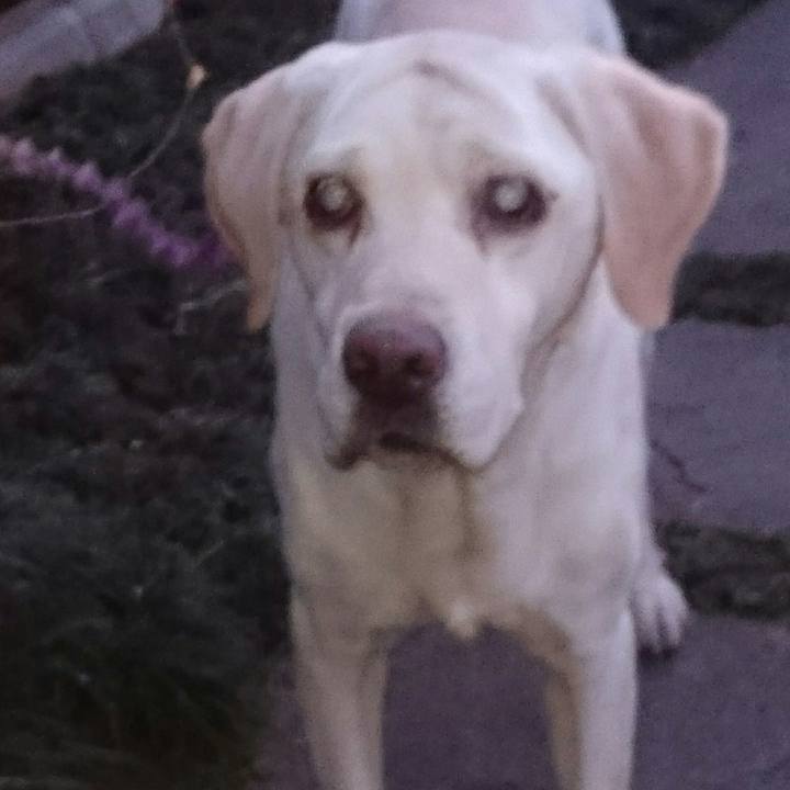 813a5925 eba3 47ff 96fe b83e6199014f